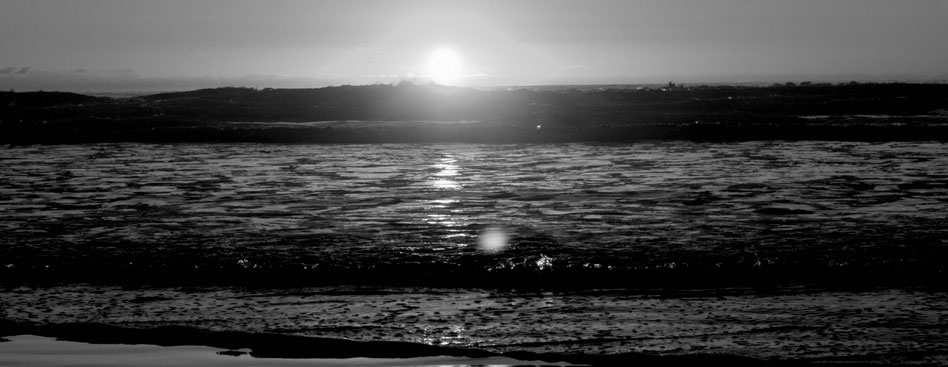 无限短信网页在线轰炸